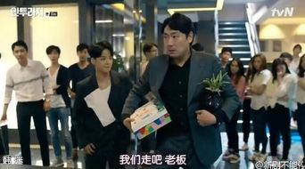 明星伙伴在线看