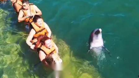 在线播放加勒比 桜,探寻海上传奇的浪漫之旅