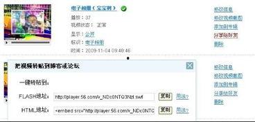 网上视频地址,热门视频背后的故事与制作过程